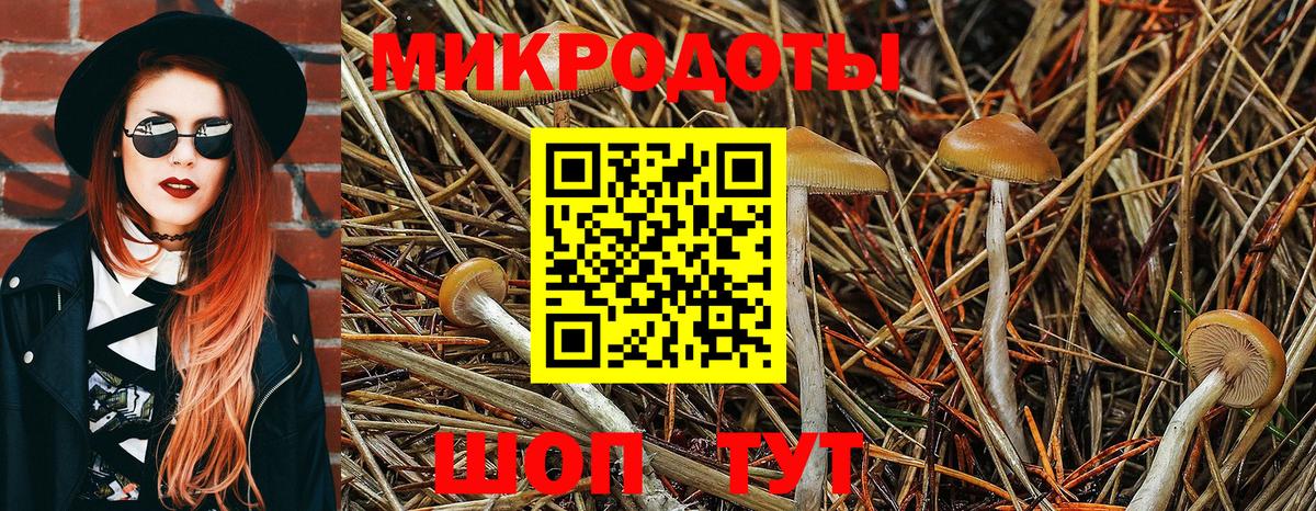 Галлюциногенные грибы MAGIC MUSHROOMS Оренбург