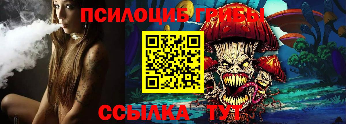 Оренбург  Галлюциногенные грибы Psilocybe  Псилоцибиновые грибы Psilocybe  Вход с VPN 